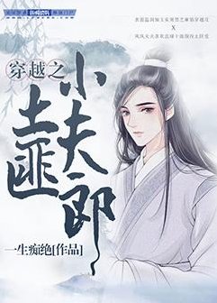 穿越之土匪小夫郎